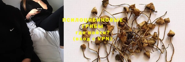 крисы Алексеевка