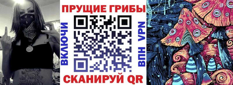 Псилоцибиновые грибы прущие грибы  хочу наркоту  Брянск 
